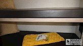 bottom-slider-img
