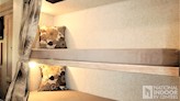 bottom-slider-img