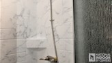 bottom-slider-img
