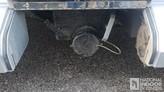 bottom-slider-img