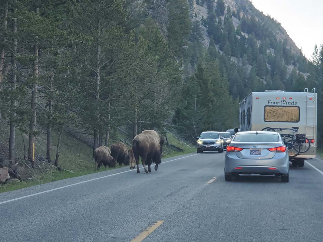 An RVers Guide to Yellowstone: America's First National Park